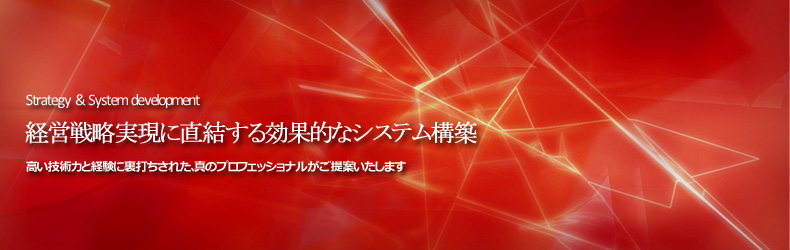 Strategy & System development����άΩ�Ƥ��饷���ƥ๽�ۤޤǡ��бľ��������褹�뤿��˺�Ŭ�ʼ��ʤ���Ƥ������ޤ�